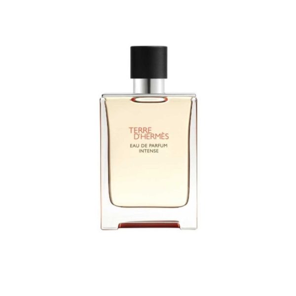 Terre D’hermès – Edp Intense 100ml