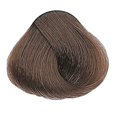 54362_foto02.png