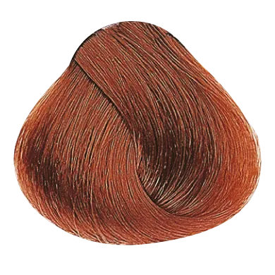 54366_foto03.png