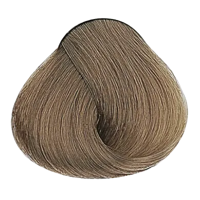 54359_foto07-2.png