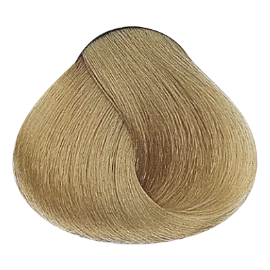 54359_foto08-2.png