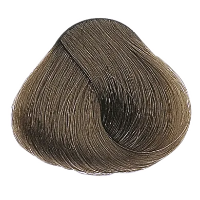 54019_foto03.png