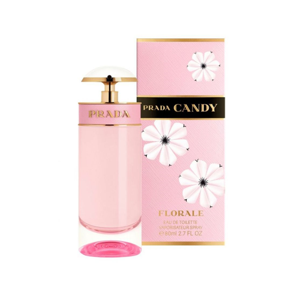 55581.png