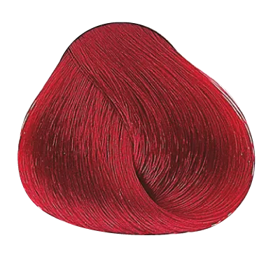 50144_foto04-1.png