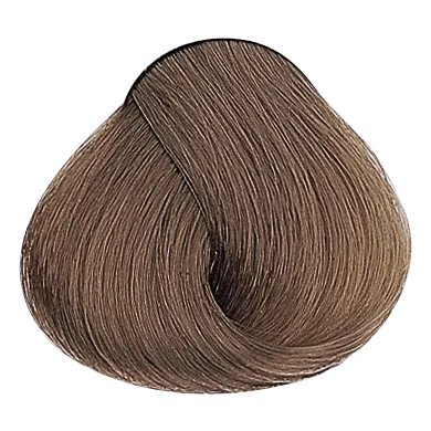 54016_foto05-2.png
