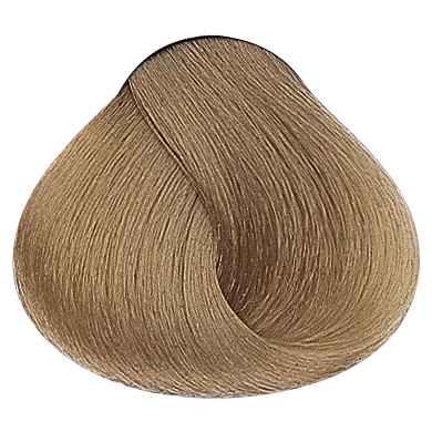 54016_foto06-2.png