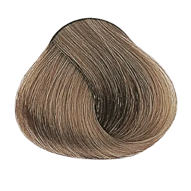 54017_foto06.png