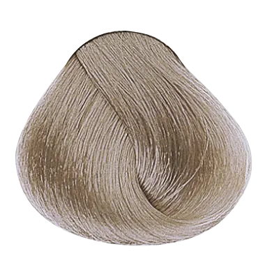 54020_foto04-2.png