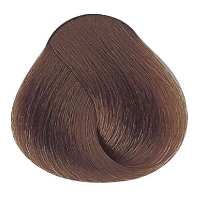 54022_foto05-1.png