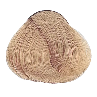 54022_foto07-1.png