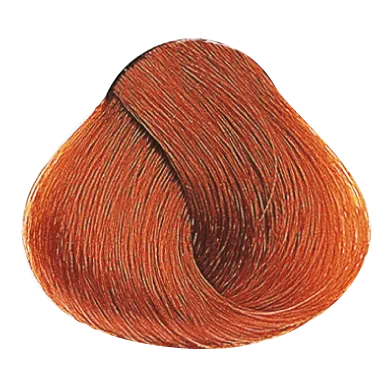 54024_foto03-2.png
