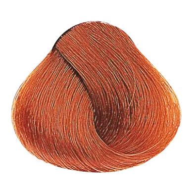 54024_foto04-2.png