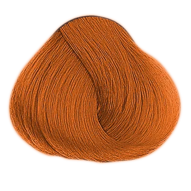54024_foto05-2.png