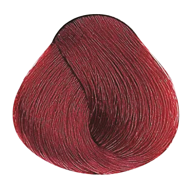 54026_foto02-1.png