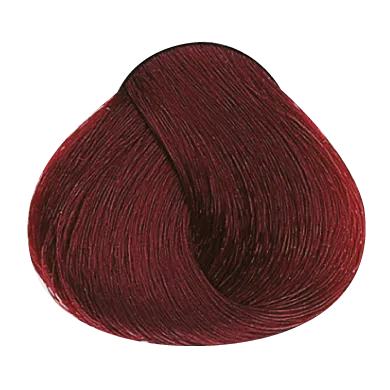 54026_foto03-1.png