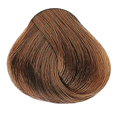 54030_foto05-1.png