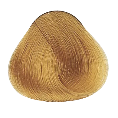 54030_foto06-1.png