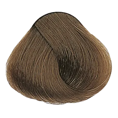 54031_foto02-1.png