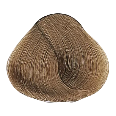 54031_foto03-1.png