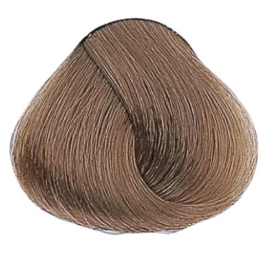 54031_foto07-1.png