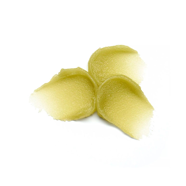55519_foto03-1.png