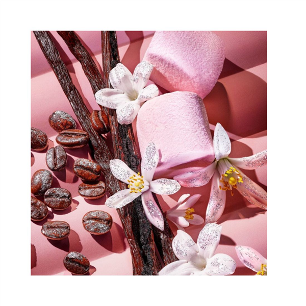 56302_foto03-2.png