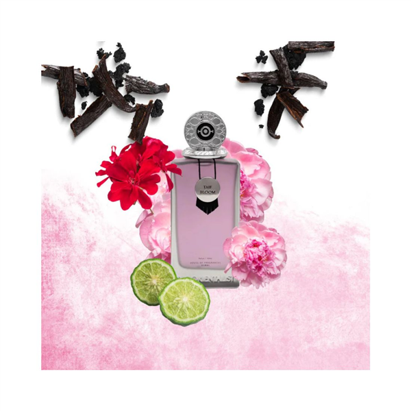 58025_foto02.png