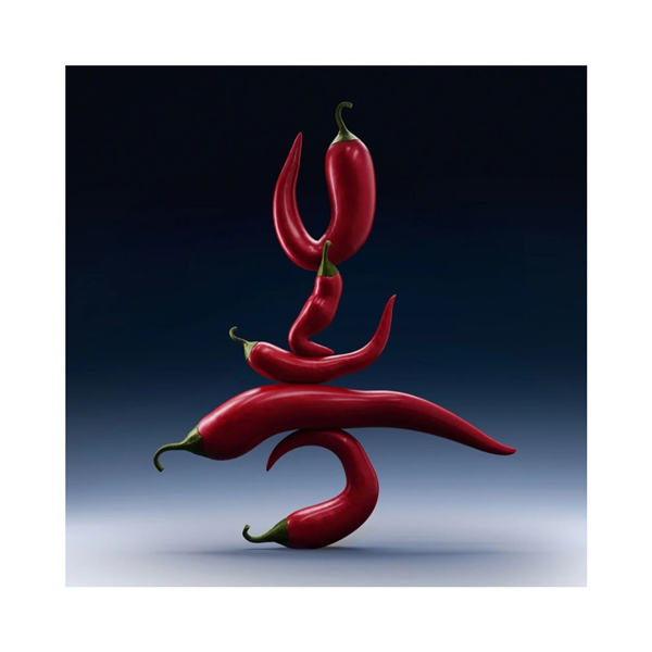 58266_foto04.png